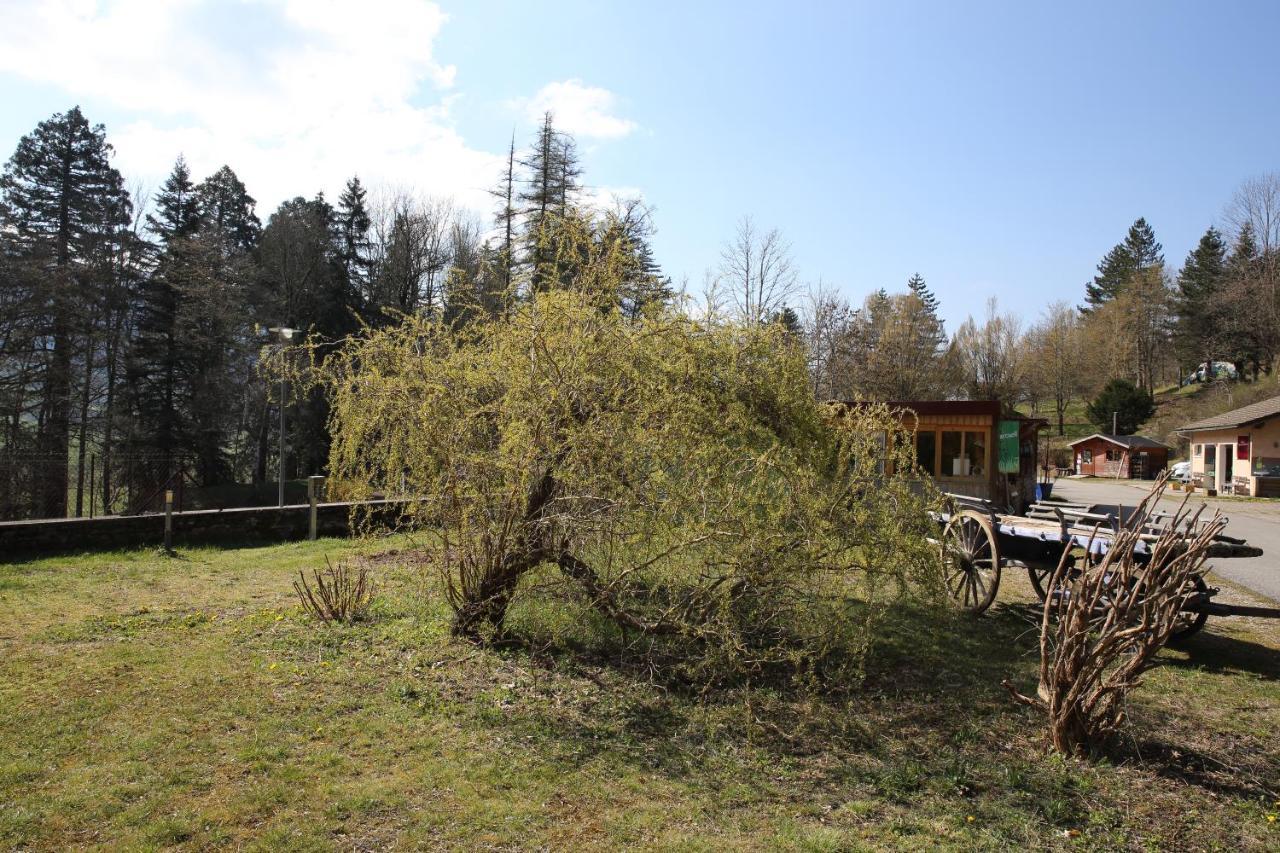 Le Veymont Villa Saint-Martin-en-Vercors Luaran gambar